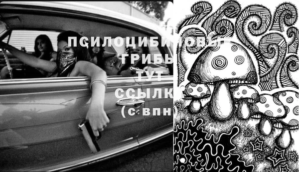 крисы Богданович